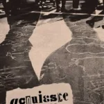 Acquiesce A Novel